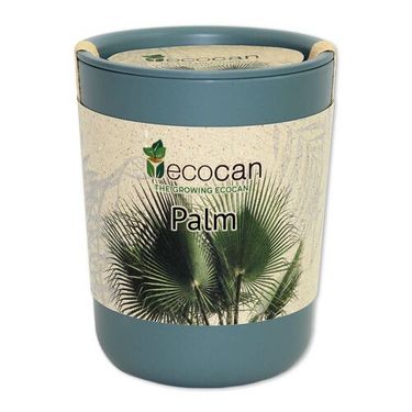 Palm ecocanimage