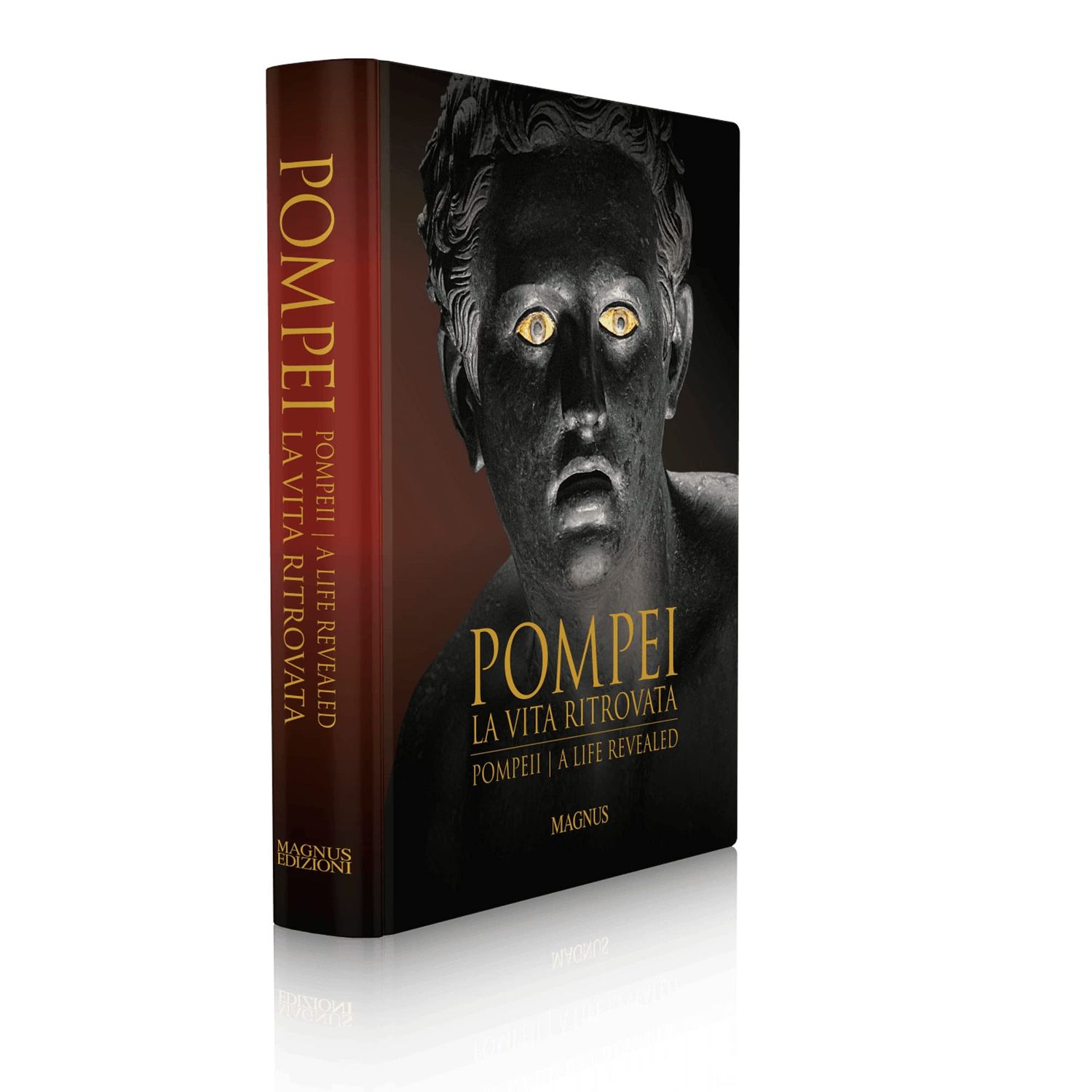 Pompeii A Life Revealed