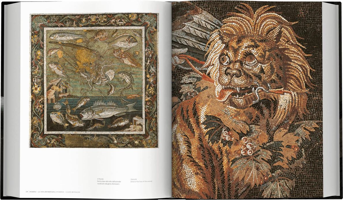 Pompeii Book Bog A Life Revealed